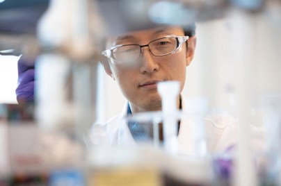 Scientist reviewing test tube