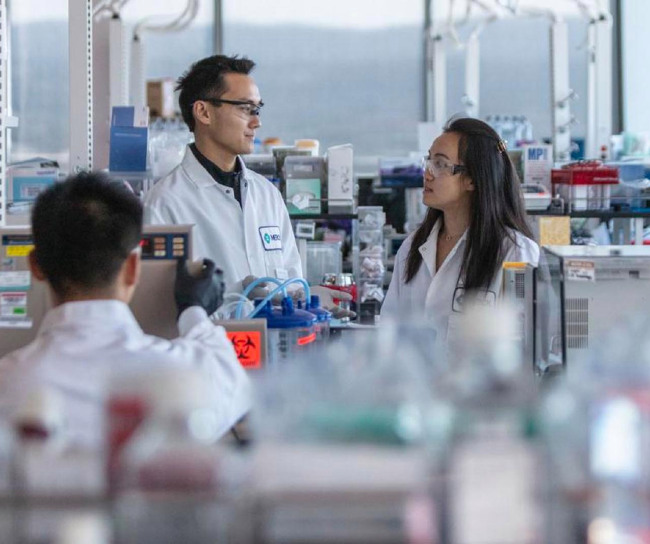 Scientists in lab