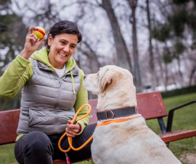 Woman playing with dog