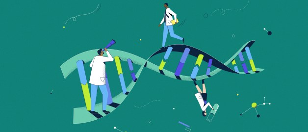 Scientists on genetics vector art