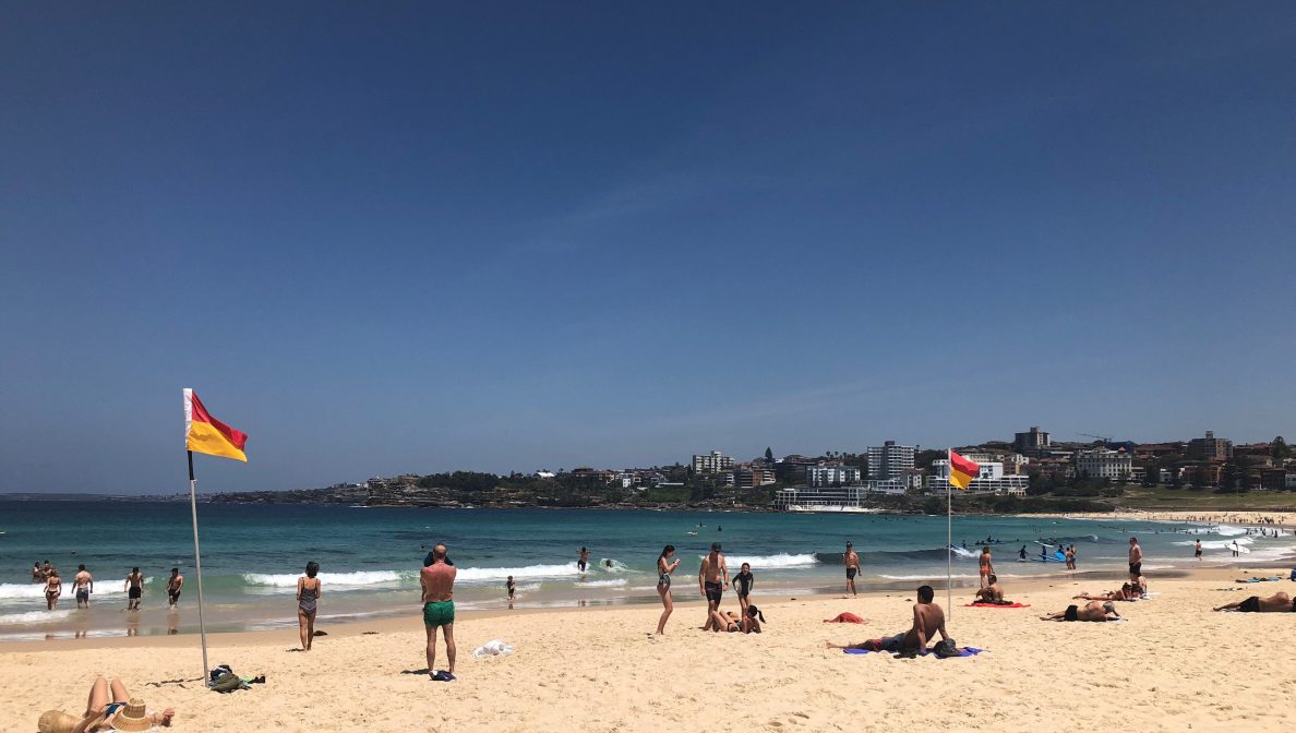 Swim between the flags on a beach